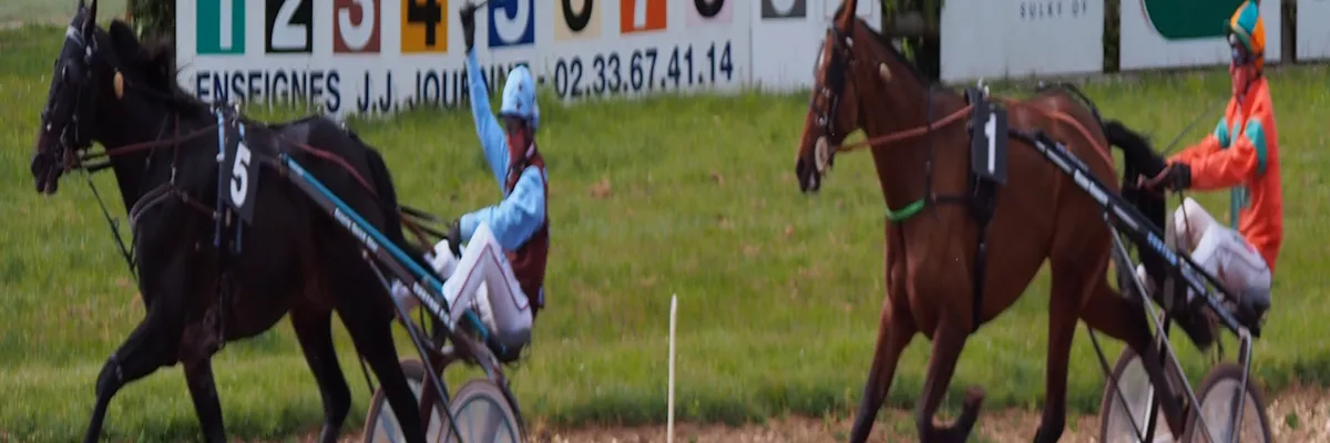 image-pose-borne-de-recharge-irve-argentan.webp Image Pose borne de recharge IRVE Argentan