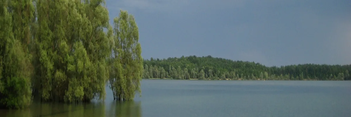 image-pose-borne-de-recharge-irve-aube.webp Image Pose borne de recharge IRVE Aube