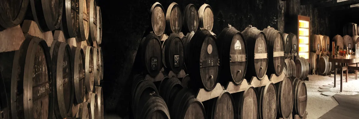 Image Pose borne de recharge IRVE Cognac