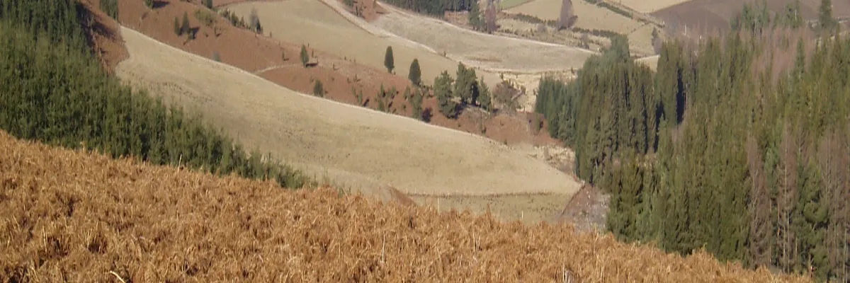 image-pose-borne-de-recharge-irve-creuse.webp Image Pose borne de recharge IRVE Creuse