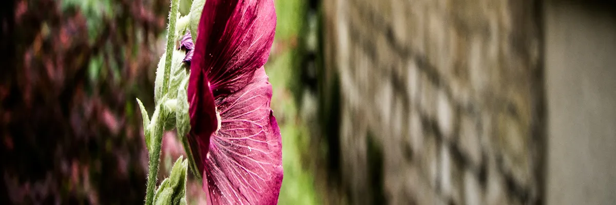 image-pose-borne-de-recharge-irve-eragny.webp Image Pose borne de recharge IRVE Éragny