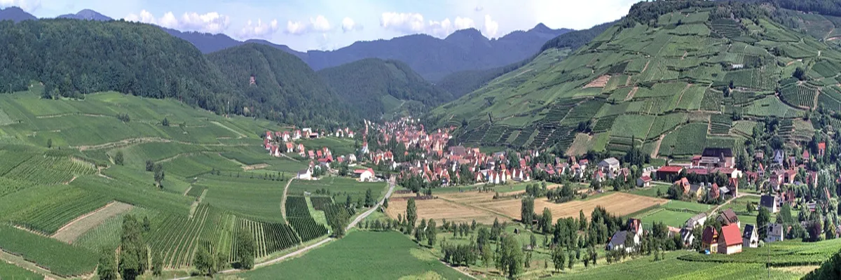 image-pose-borne-de-recharge-irve-grand-est.webp Image Pose borne de recharge IRVE Grand Est