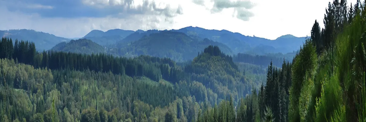 image-pose-borne-de-recharge-irve-haute-vienne.webp Image Pose borne de recharge IRVE Haute-Vienne