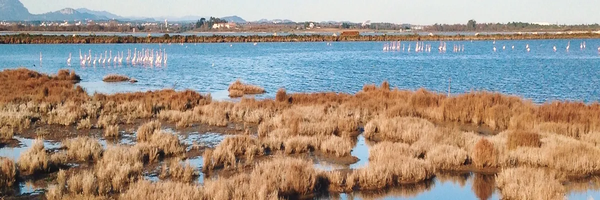 Image Pose borne de recharge IRVE Lattes
