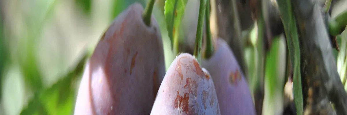 image-pose-borne-de-recharge-irve-lot-et-garonne.webp Image Pose borne de recharge IRVE Lot-et-Garonne