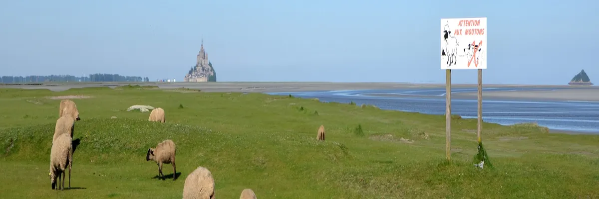 image-pose-borne-de-recharge-irve-manche.webp Image Pose borne de recharge IRVE Manche