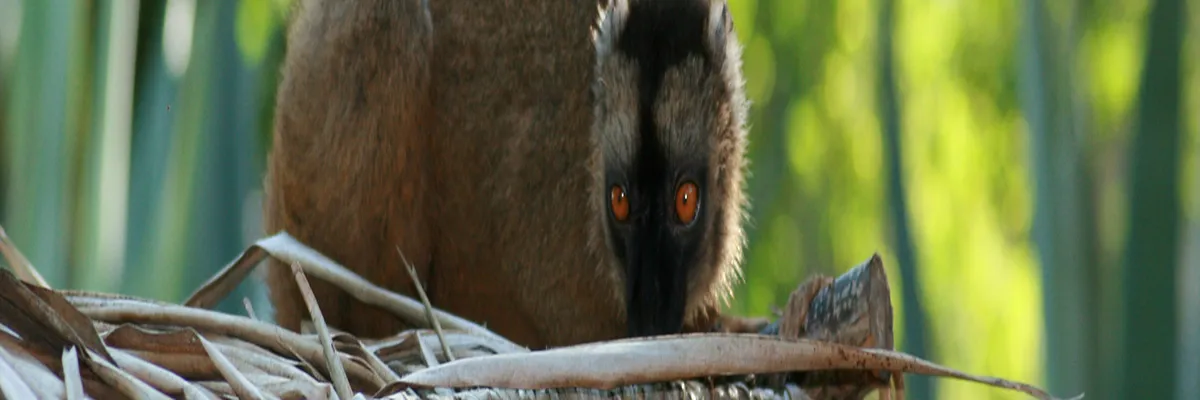 image-pose-borne-de-recharge-irve-mayotte.webp Image Pose borne de recharge IRVE Mayotte